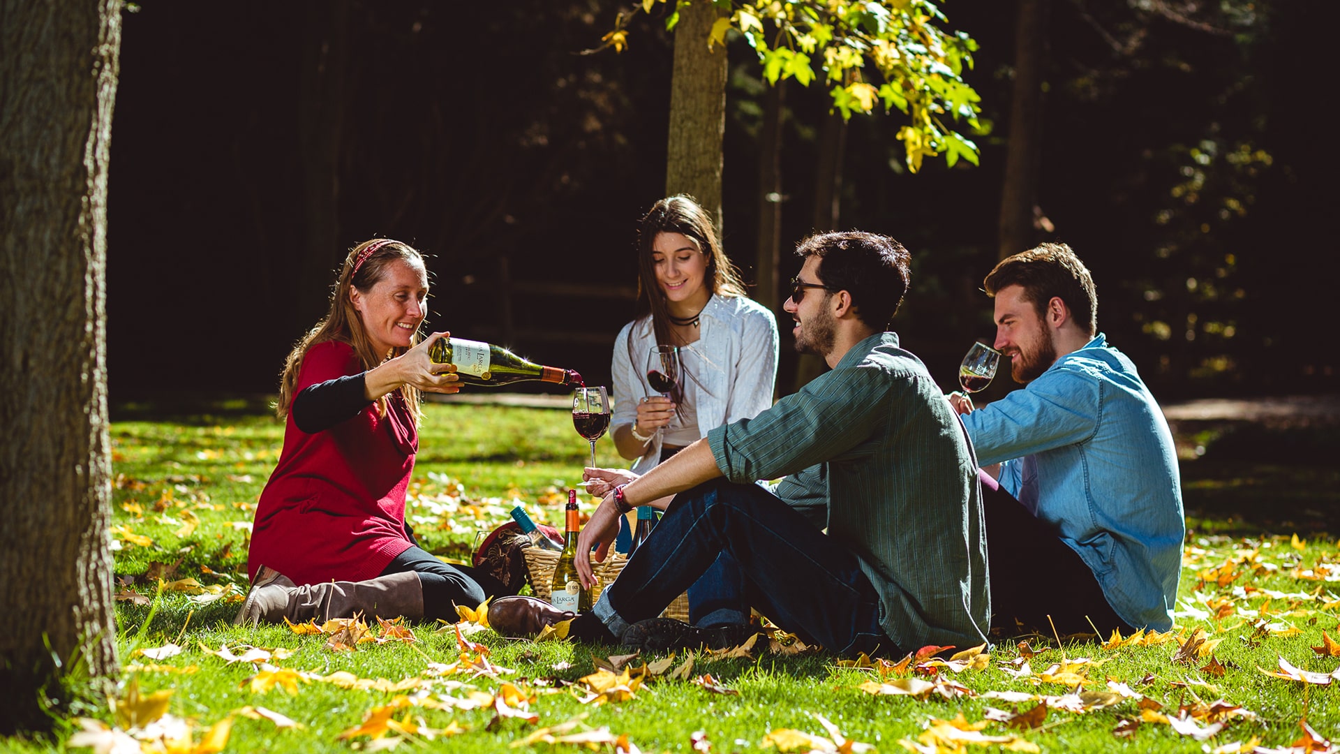 Casablanca Valley Wine Route